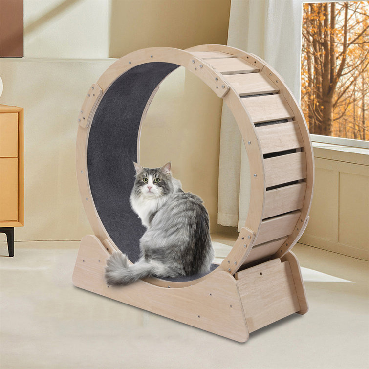 Tucker Murphy Pet™ Cat Exercise Equipment Round Wheel Runway Cat Perch